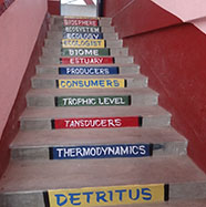 Victoria Public School about